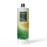 Lissage Indien BÔHEME SECRET Amla Neem Brahmi 1000 ml