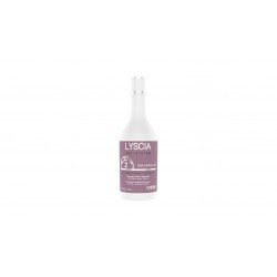 LYSCIA PHASE 2 DE LISSAGE TANIN ET DNA 250 ml