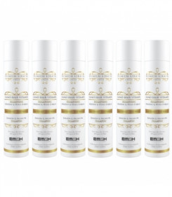 PACK 6 SHAMPOINGS EM2H PREMIUM KERATIN CAVIAR 250 ml