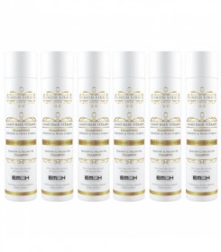 PACK 6 SHAMPOINGS EM2H PREMIUM KERATIN CAVIAR 250 ml